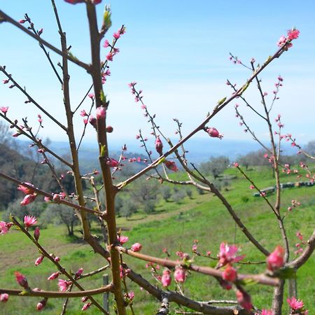 Casa Franceschini Villa Poggio Mirteto ภายนอก รูปภาพ