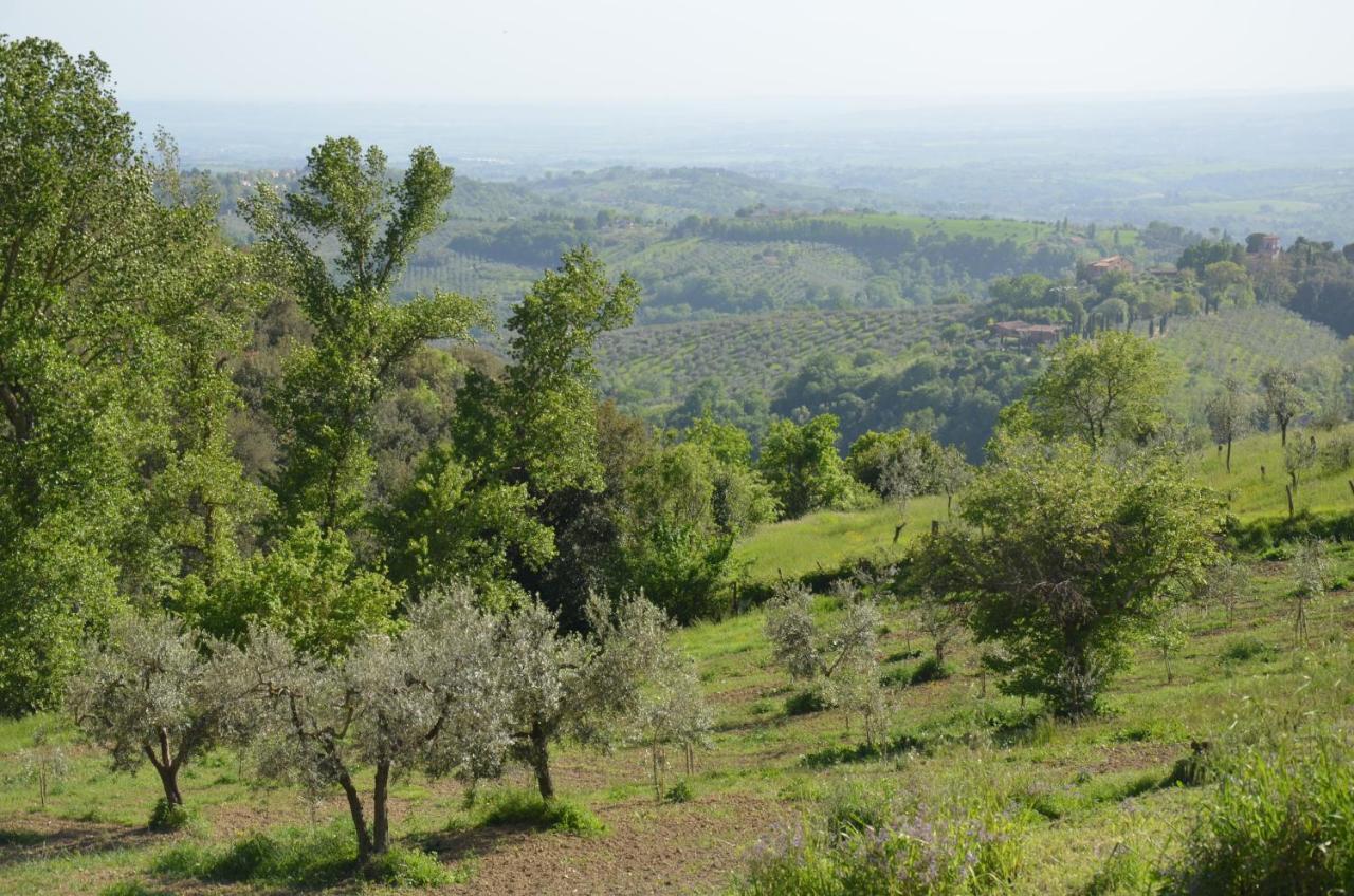 Casa Franceschini Villa Poggio Mirteto ภายนอก รูปภาพ