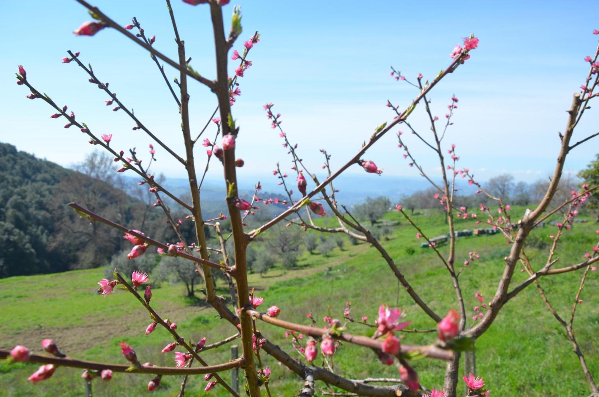 Casa Franceschini Villa Poggio Mirteto ภายนอก รูปภาพ